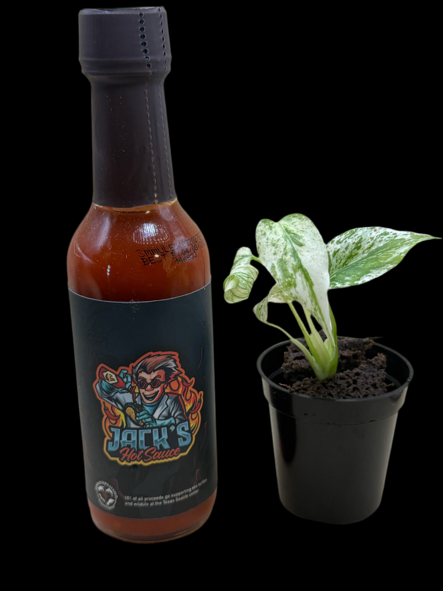 Monstera Mint 2" + Jack's Hot Sauce Gift Set (shipping 10/1) - Jacksbs