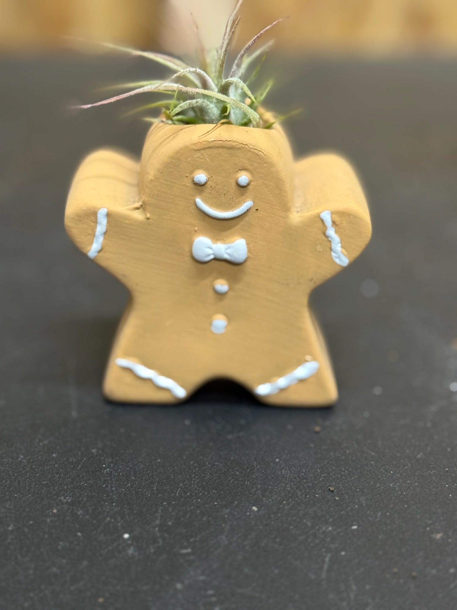 Gingerbread Man Airplant