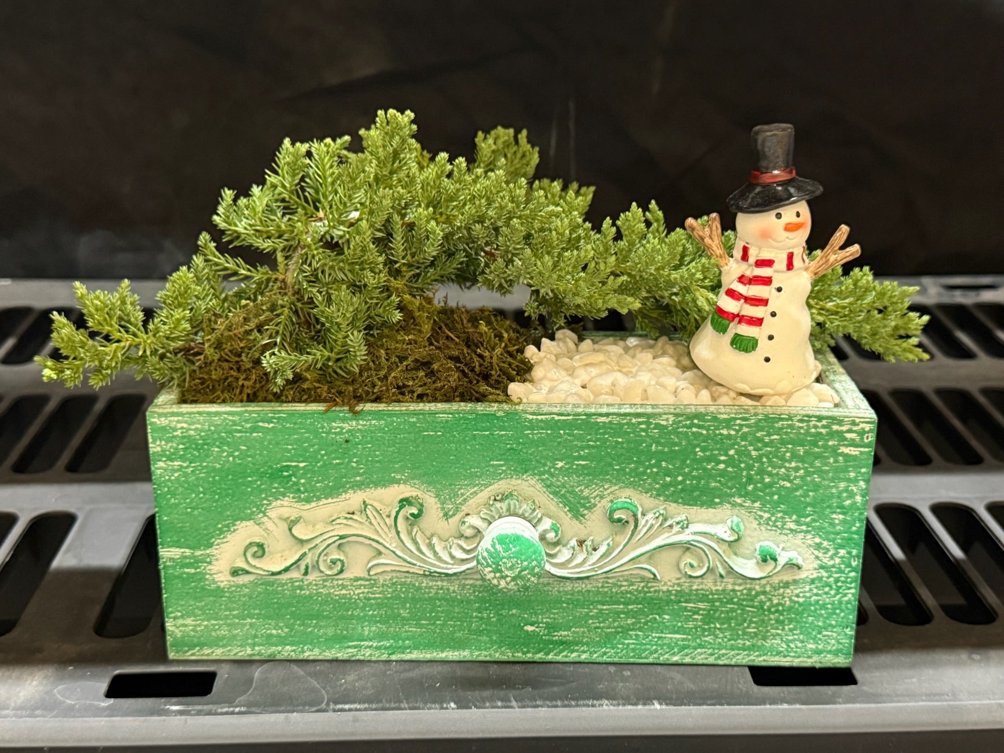 Holiday Juniper Bonsai drawer decor 4x10
