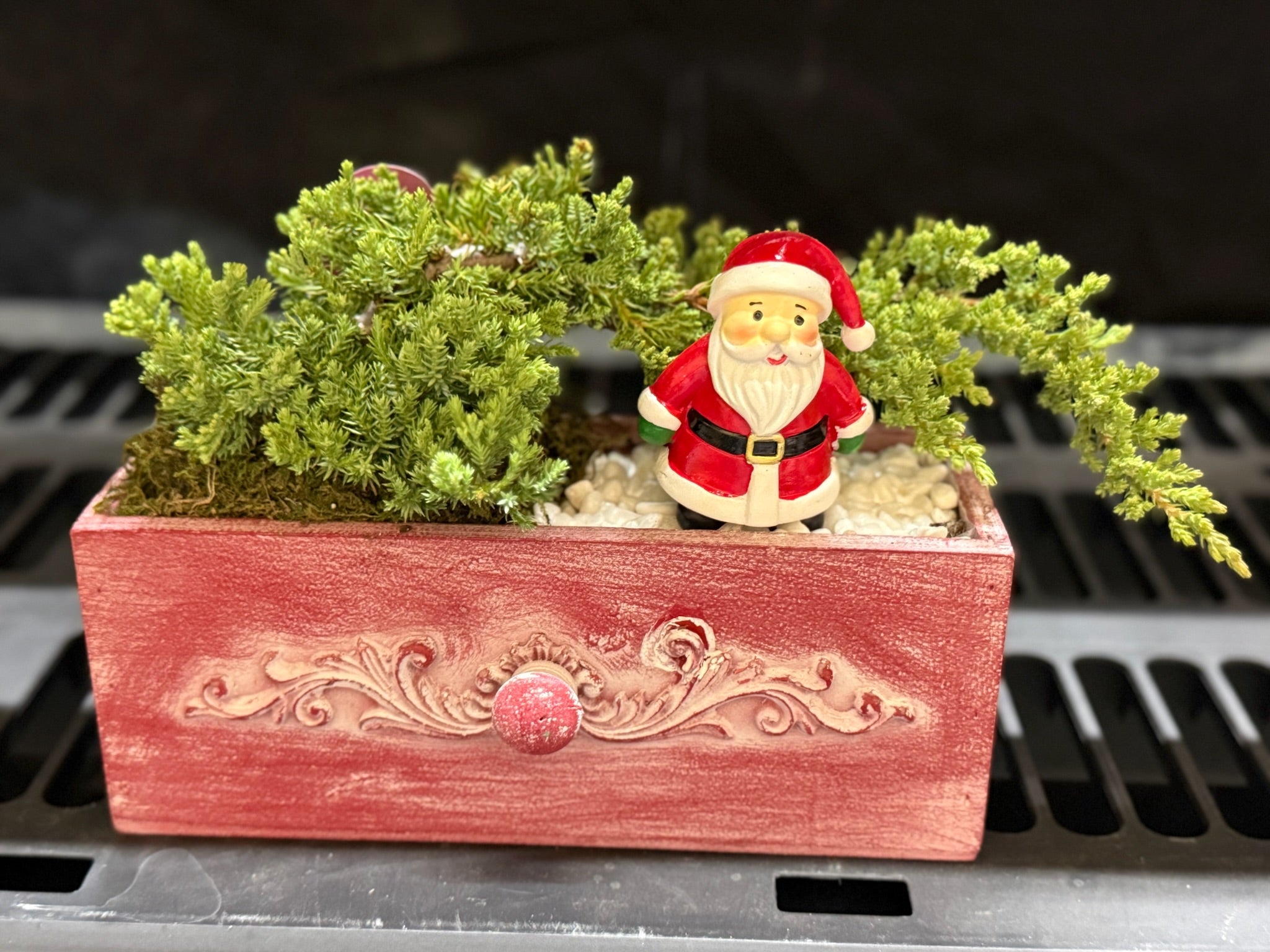Holiday Juniper Bonsai drawer decor 4x10