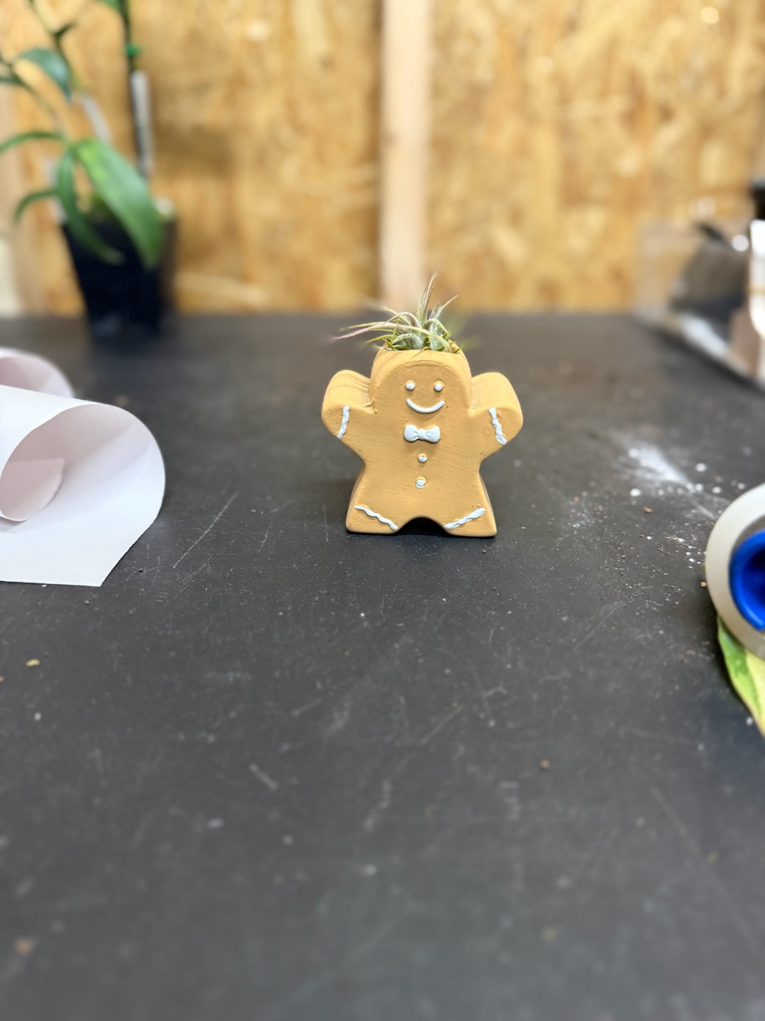 Gingerbread Man Airplant